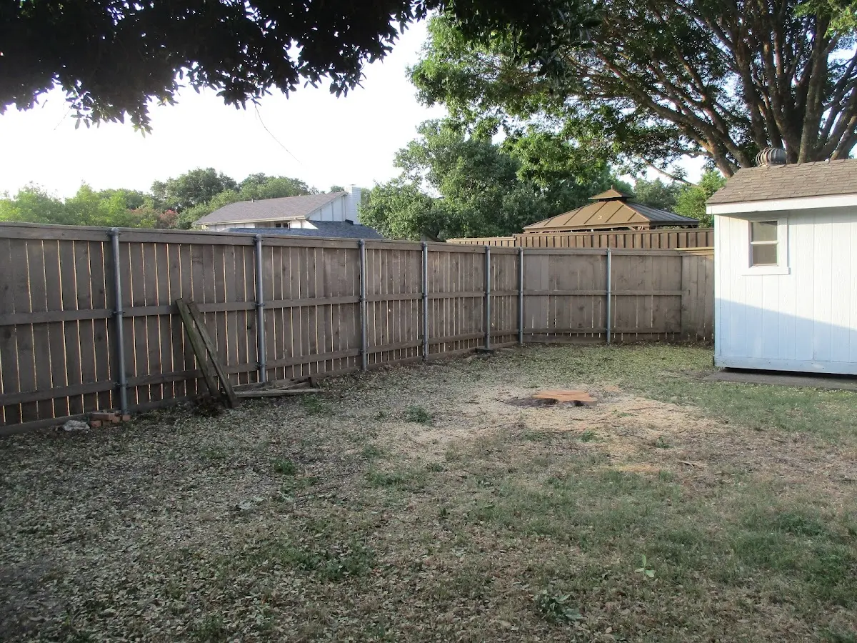 Cleared yard after professional tree removal in Alma
